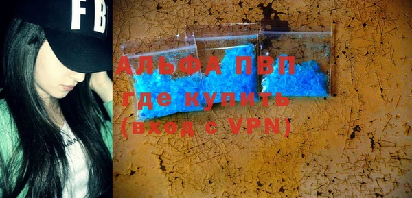 индика Алексин