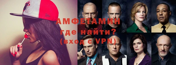 индика Алексин