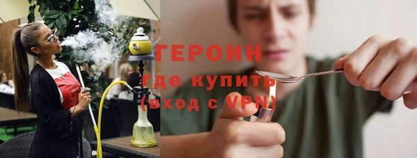 индика Алексин