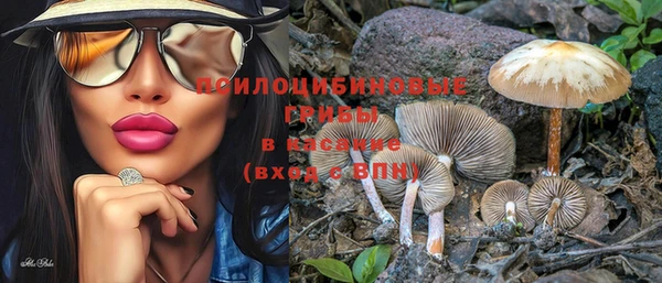 шишки Алзамай