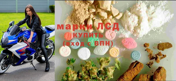 индика Алексин