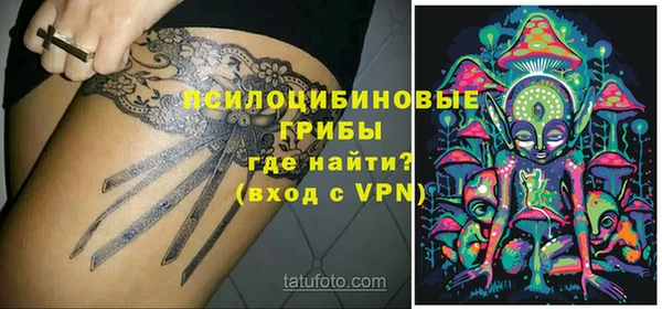 шишки Алзамай