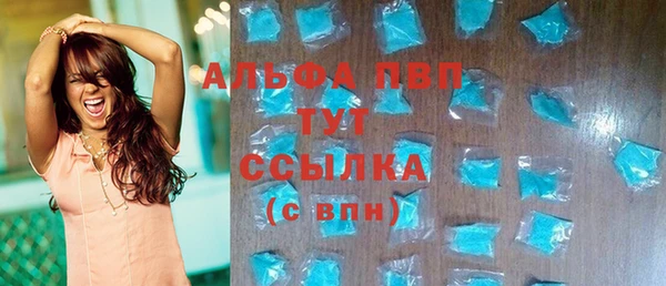 индика Алексин