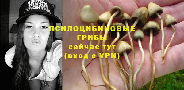 стаф Заволжье
