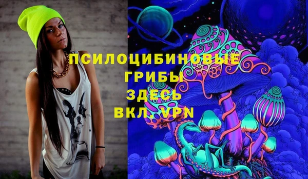 индика Алексин