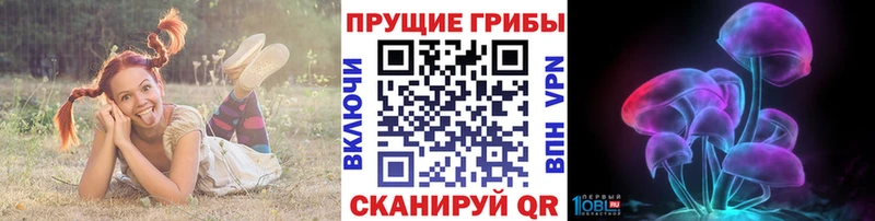 Псилоцибиновые грибы Psilocybe  Калязин 